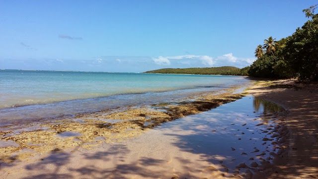 Natural Reserve Cabezas de San Juan